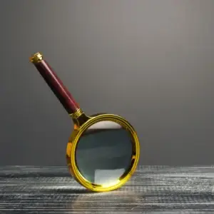 Search Engine Optimization