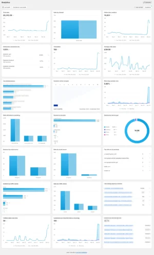 Paid Marketing Portfolio