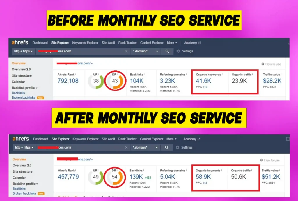 Portfolio SEO Service Portfolio