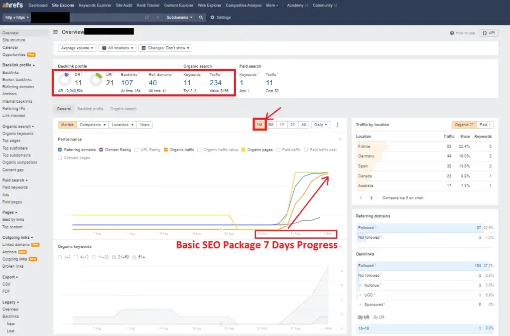 Portfolio Monthly SEO Service Project